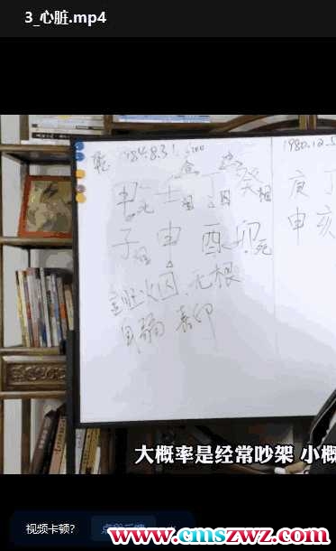 知天命大师兄语良八字班+八字与健康 22+3集视频插图