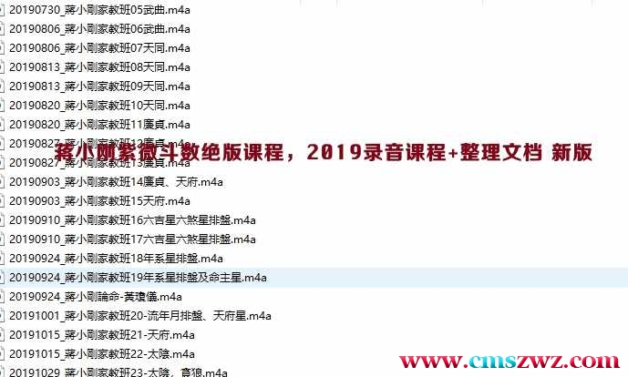 蒋小刚紫微斗数绝版课程，2019录音课程+整理文档插图