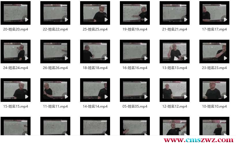 陈春林2023梅花姓名学27集视频课程插图