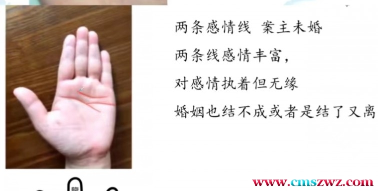 周心羽手相论断5节高清视频插图