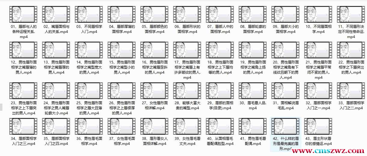 丽莎老师面相解读43集视频课程插图