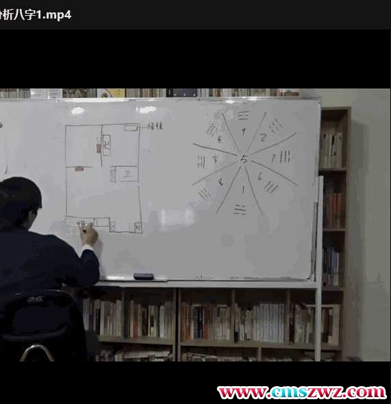 《八字终极》（己安先生版）8集视频插图