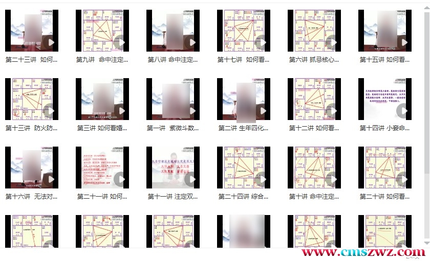梁瑞峰《紫微斗数纯技法》24集视频课程插图