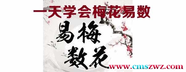 光明师亲授！《一天学会梅花易数》2集视频插图