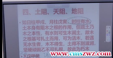 《天干喜忌季令调候之甲乙木》5集课程 周宸琋插图