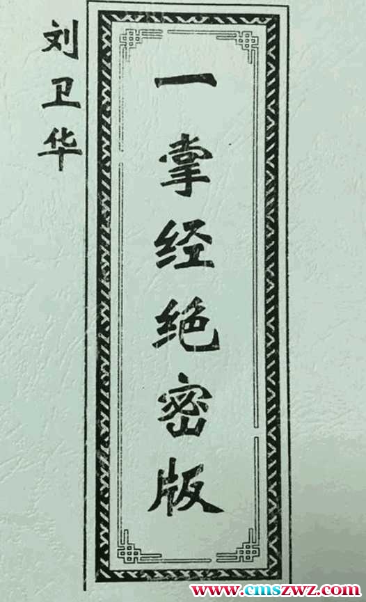 刘卫华一掌经绝密版插图