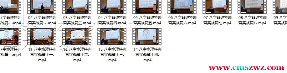 么学声八字高级八字命理特训营实战视频14集插图