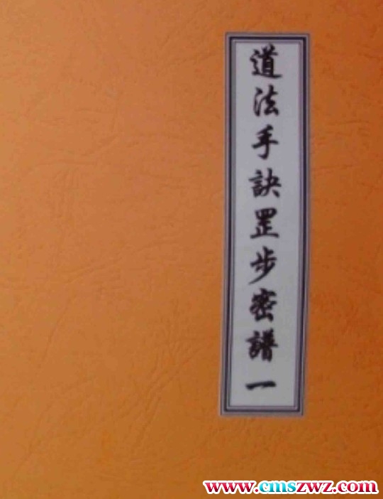 道法手诀罡步密谱PDF插图