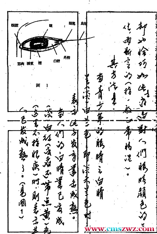 陈鼎龙-中国手面相婚姻专题讲义.pdf79插图