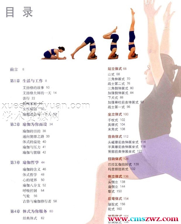 艾扬格瑜伽.pdf插图1