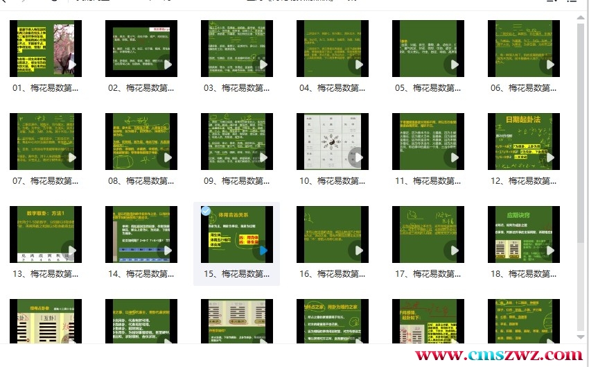 鑫河《梅花易数精品课》26集视频课程插图