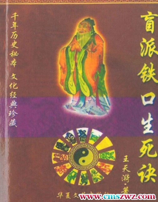 盲派铁口生死诀   376P插图