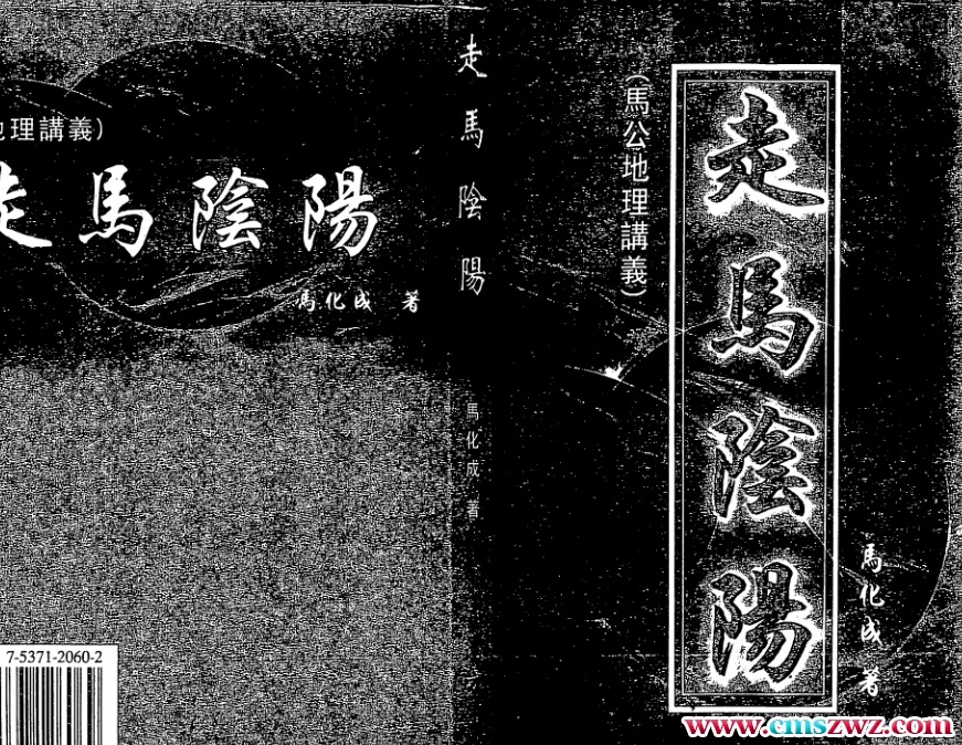 马化成 走马阴阳161PDF插图