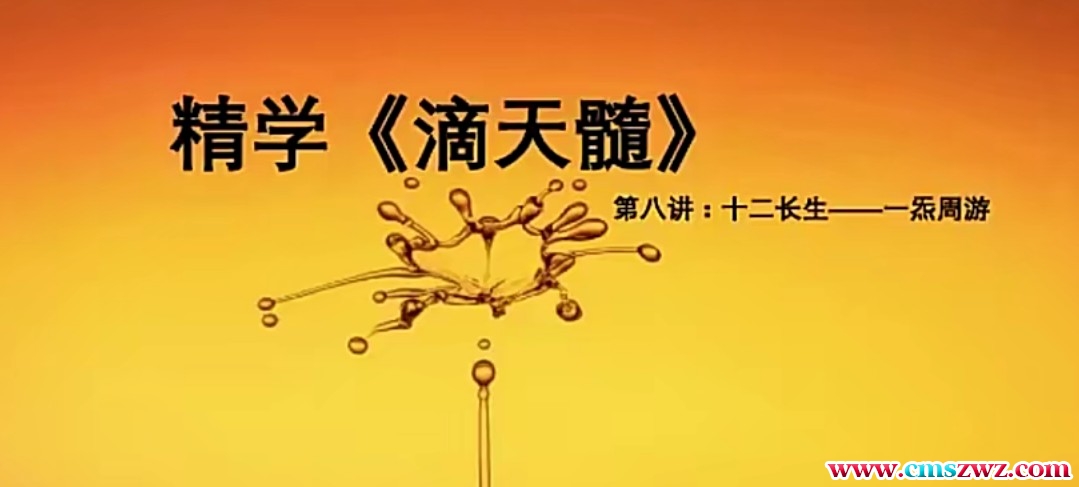 旭阳老师滴天髓直播课程11集视频插图