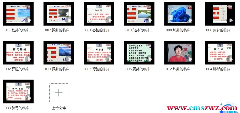 张禹萌易道色卦之资料视频系统课插图