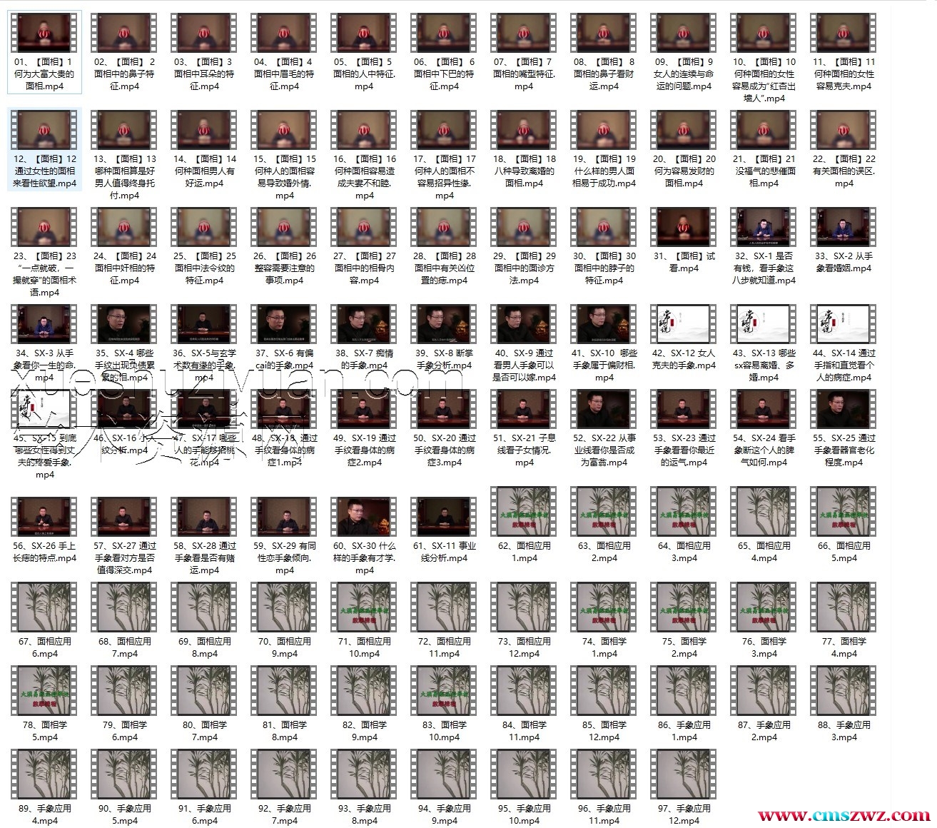 常鹤鸣面相识人术97集插图