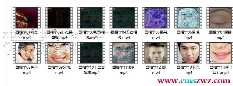 中国面相学概论视频共14集插图