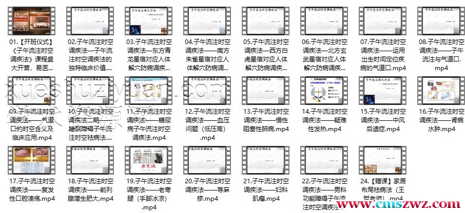 王哲-子午流注时空调疾术-23集理疗必学插图