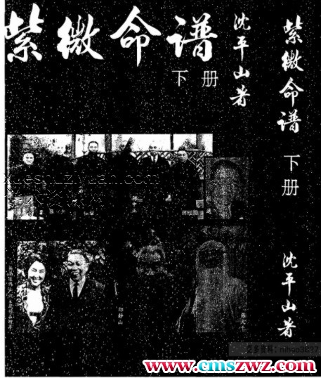 沈平山-紫微命谱下册+上册.pdf插图