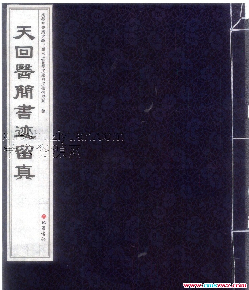 天回医简书迹留真插图