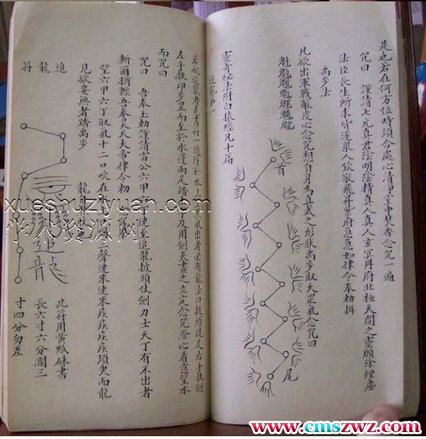 奇门真解月胎经插图1