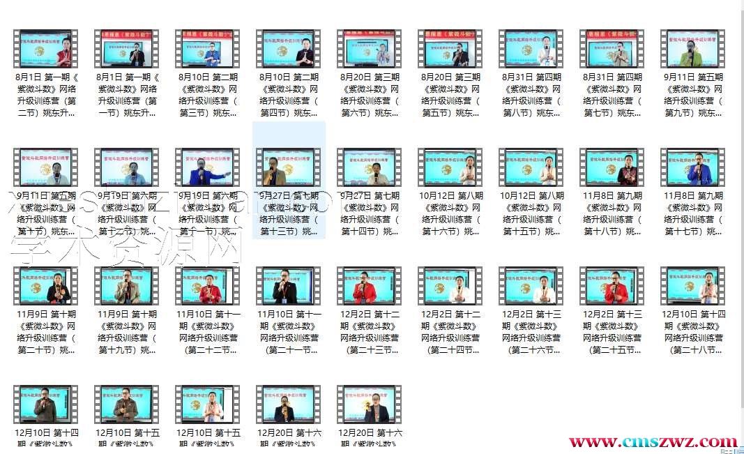 姚东升紫微斗数提升训练营 32集插图