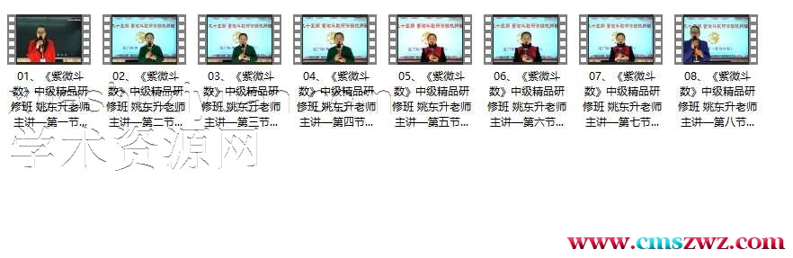 95期-姚东升老师主讲《紫微斗数》 中级精品研修班（线上线下同步直播）-8集插图