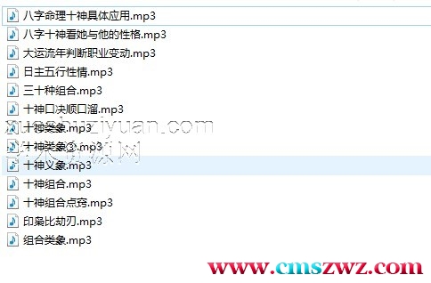 五行类象 十神类象及五行组合MP3插图