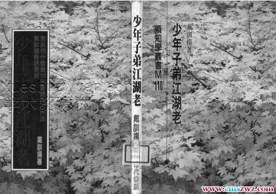 戴训扬：少年子弟江湖老.pdf插图