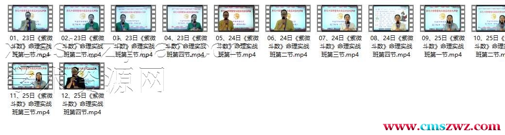 94期-姚东升老师主讲《紫微斗数》命理实战班-12集插图