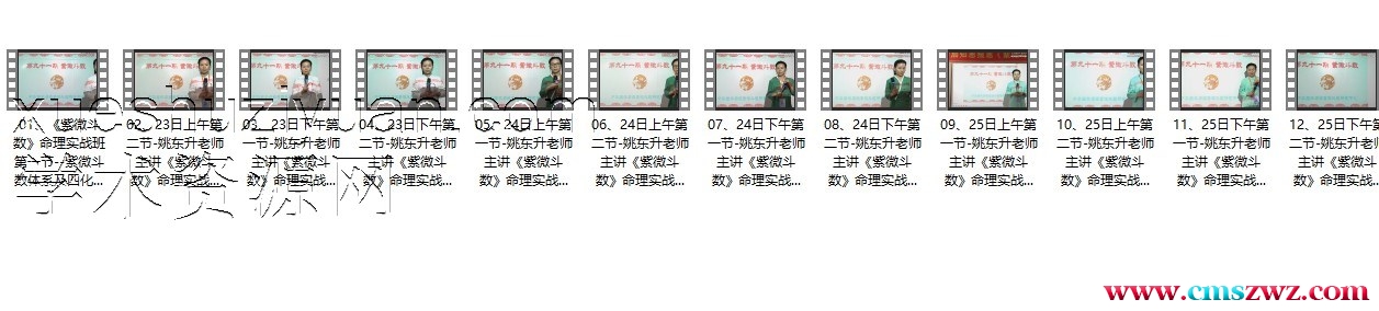 91期-姚东升老师主讲《紫微斗数》命理实战班-12集插图