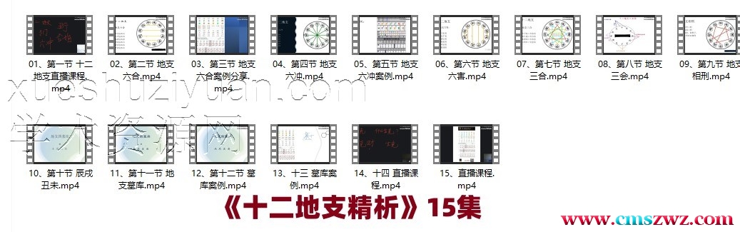 《十二地支精析》15集 清风新派八字插图