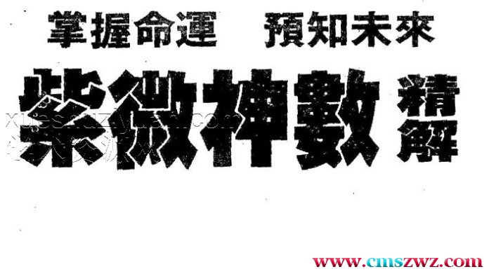 天滴子紫微神数精解.pdf插图