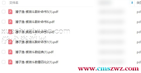 潘子渔-紫微斗数补命书插图1