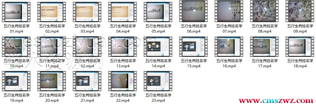 肖渤森五行生肖姓名学高级班视频全23集40个小时插图