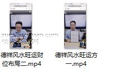 2403091 德祥风水旺运财位布局插图