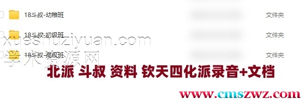 北派 斗叔资料 钦天四化派录音+文档插图
