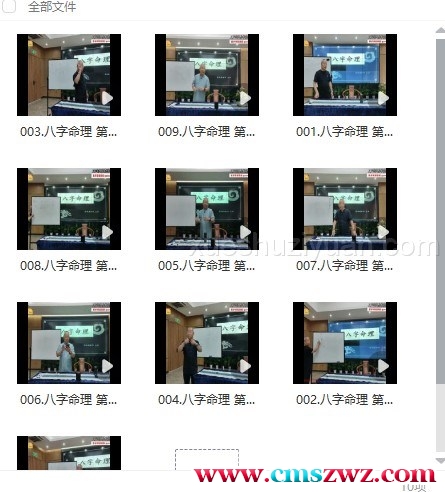 24050134 张树旗八字命理10集插图