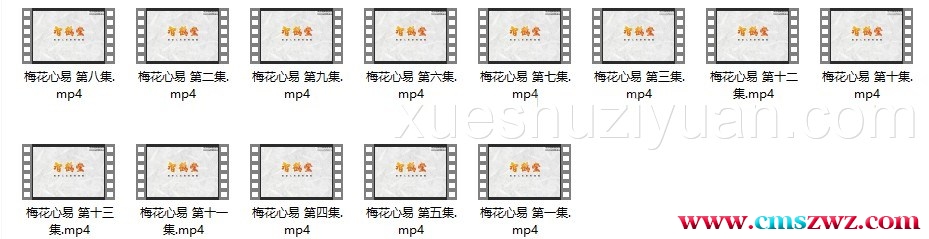 田至鹤梅花心易13集视频插图