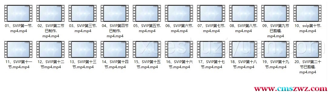 林沐雨《八字探索进阶班SVIP课程》20集插图