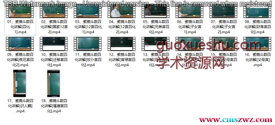 《圣威门紫微斗数四化讲解》18集视频插图 《圣威门紫微斗数四化讲解》18集视频插图