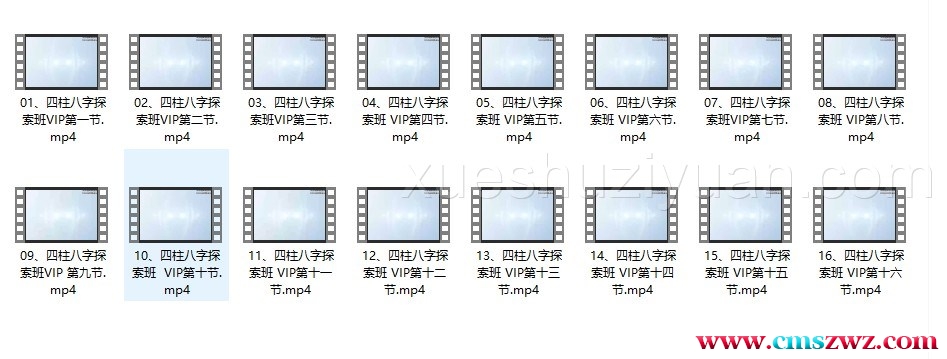 林沐雨《四柱八字探索班VIP课程》16集插图 林沐雨《四柱八字探索班VIP课程》16集插图