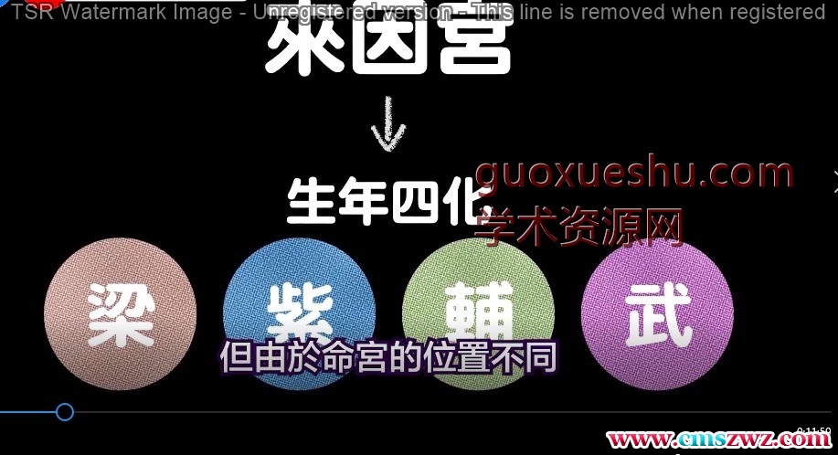 北派紫微斗数斗數simon61+5婚姻视频插图