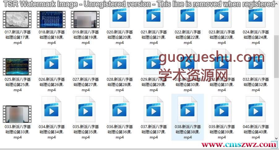 新派八字李极泉：新派命理基础理论知识 65讲完整版插图