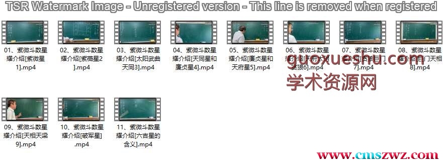 《圣威门紫微斗数星曜》11集视频课程插图 《圣威门紫微斗数星曜》11集视频课程插图