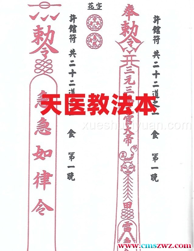 天医教法本 六壬符书PDF插图