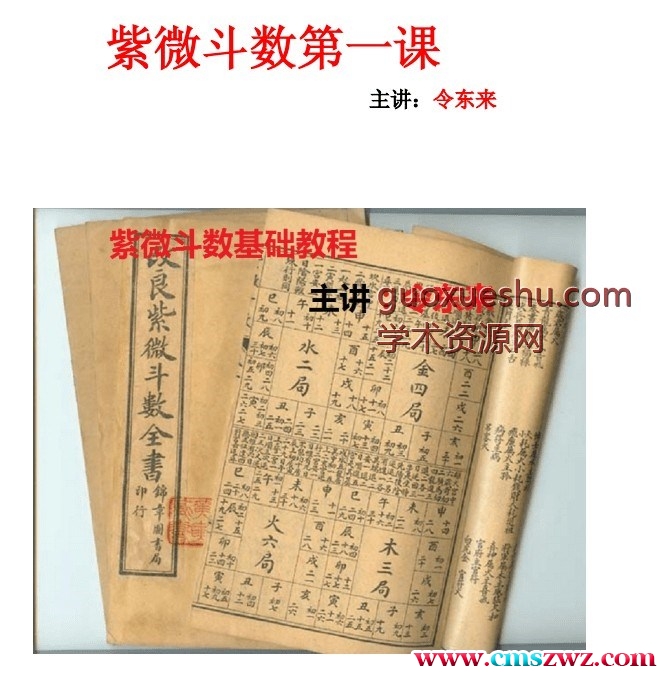 令东来紫微斗数星情课件(全套).pdf197P插图