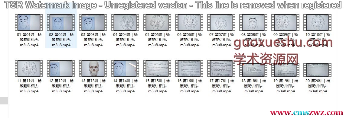 240639 陈春林 杨淑滟九纬洪运｜梅花神相断陪跑班20集视频插图