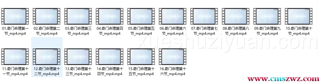 林沐雨奇门命理视频16集插图 林沐雨奇门命理视频16集插图