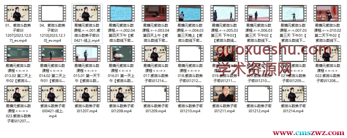 易熵元紫微斗数课程29视频插图